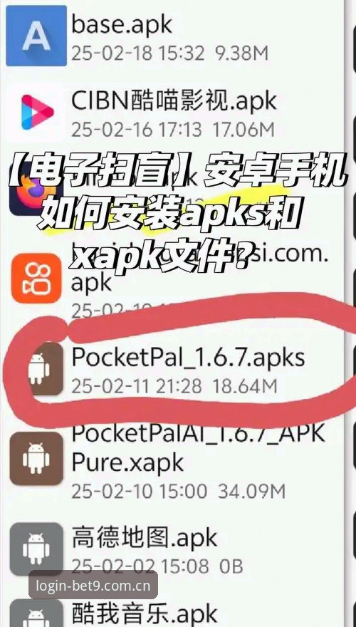 BET9官方安卓APP实用指南：从下载到切换的必备知识